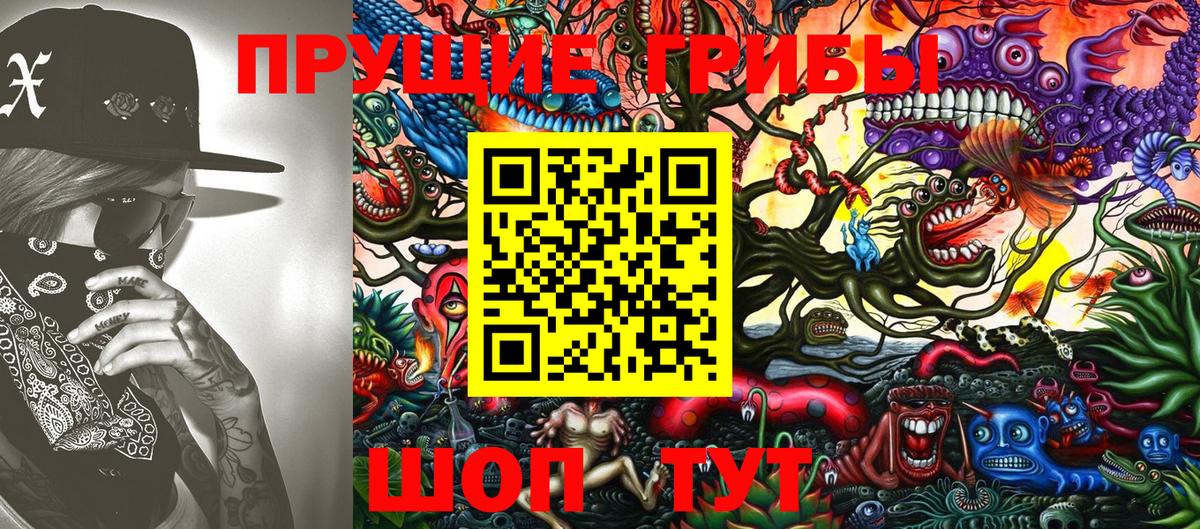 Нижнекамск  Галлюциногенные грибы Psilocybine cubensis  купить  цена  Вход с VPN  Галлюциногенные грибы мицелий 