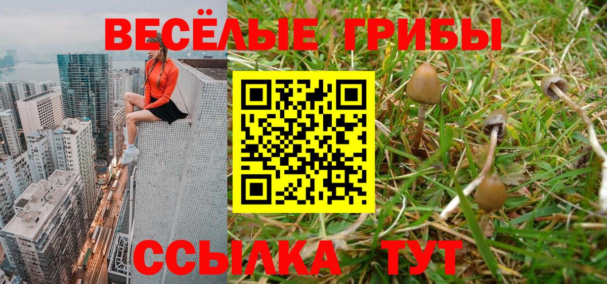 Псилоцибиновые грибы прущие грибы Нижнекамск